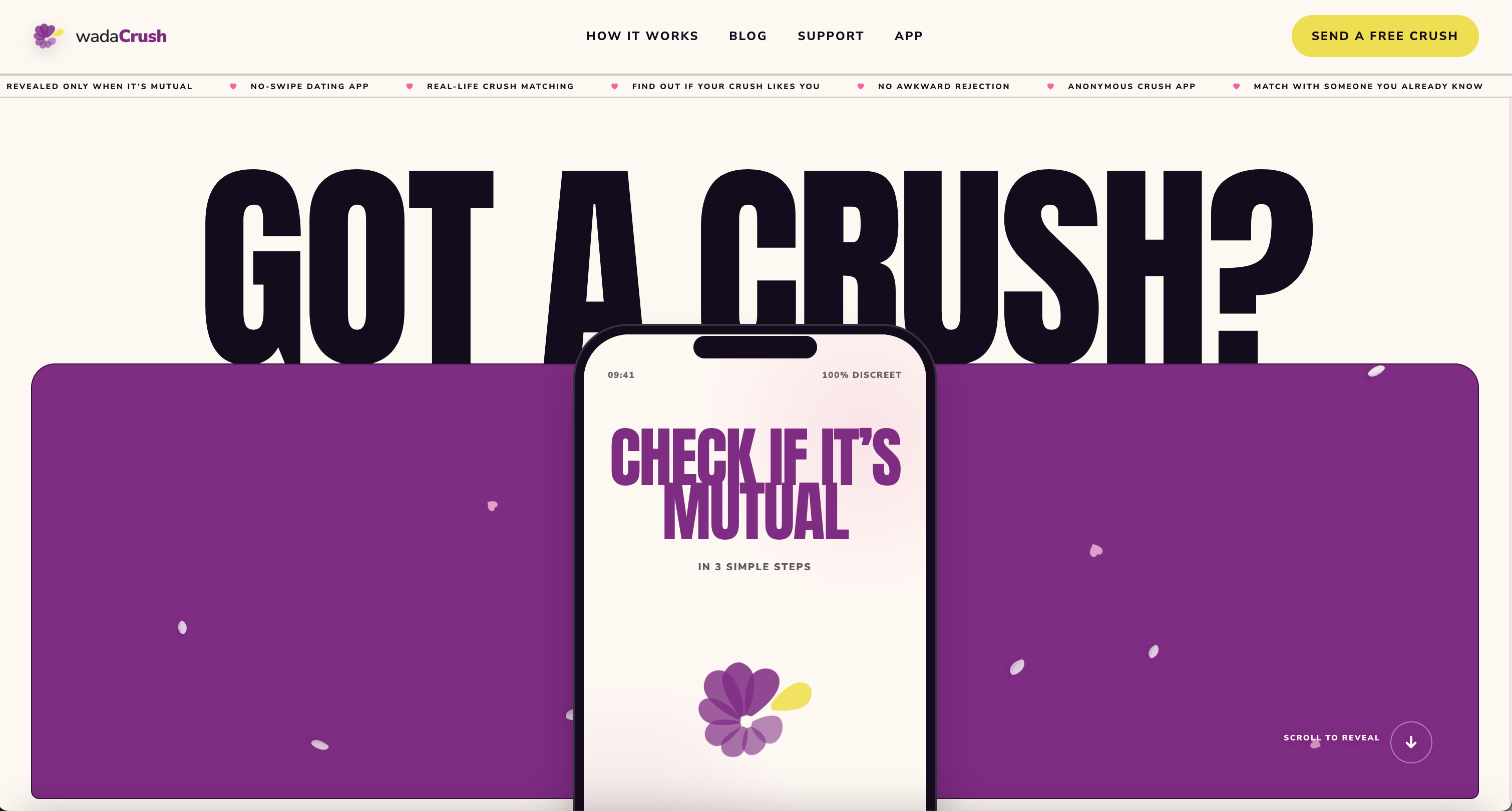 wadaCrush | Discreet Vibe Check App screenshot
